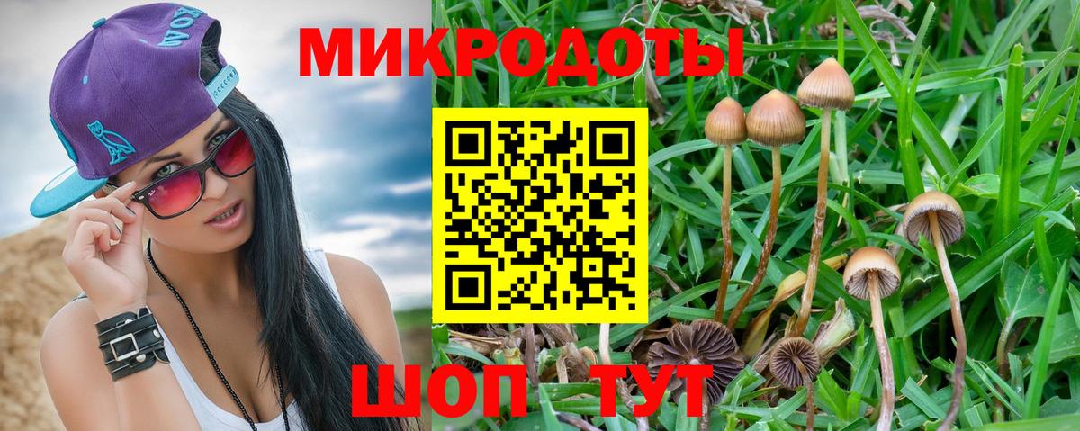 Псилоцибиновые грибы GOLDEN TEACHER Трёхгорный